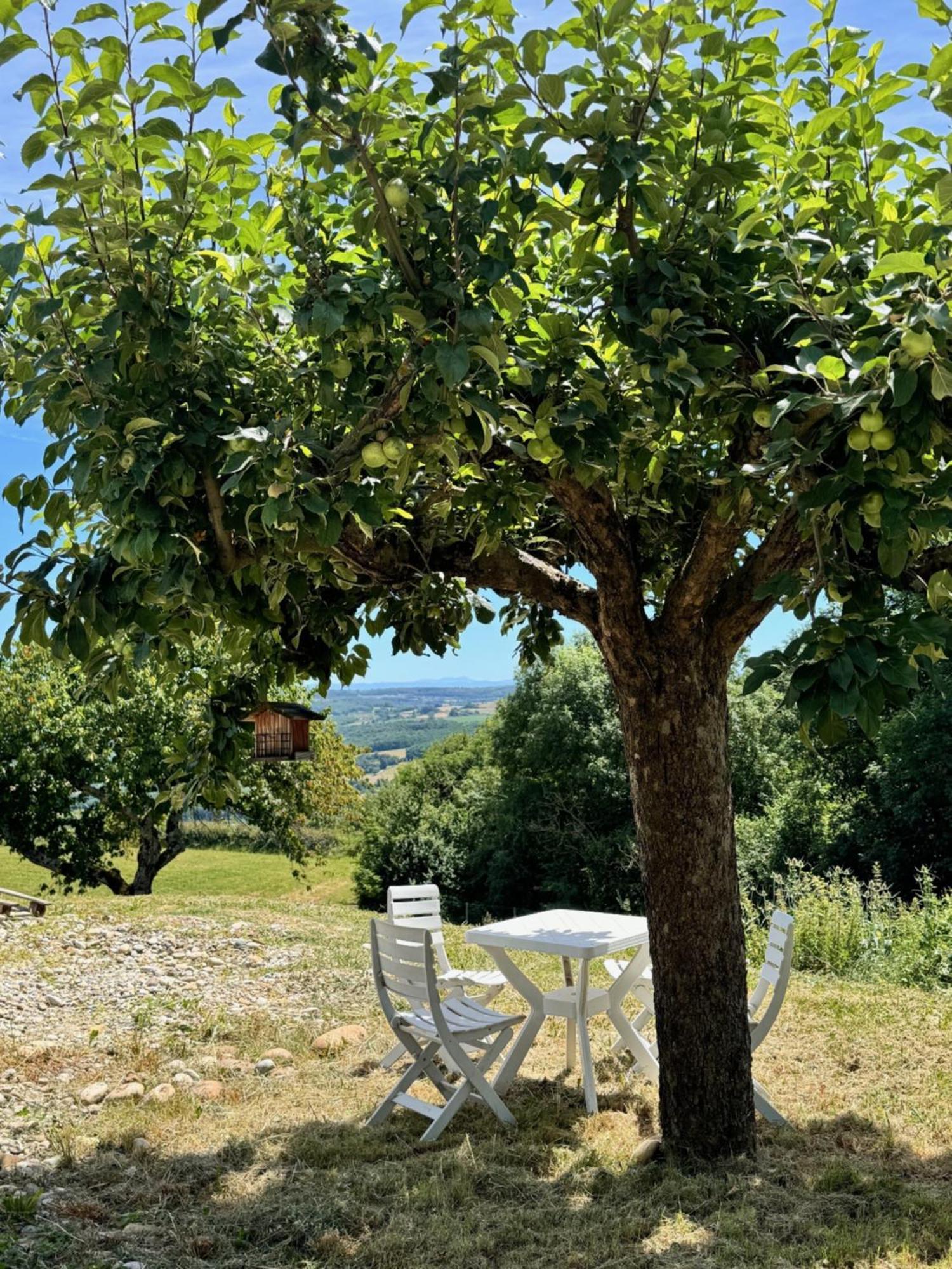 Gite Chez Polo Chateauneuf-de-Galaure Exterior foto